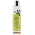 Ενισχυτικό Σαμπουάν με Έλαιο Argan και Ελαιόλαδο