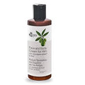 Face and Body Cream for Men with Olive Leaf Extract and Aloe